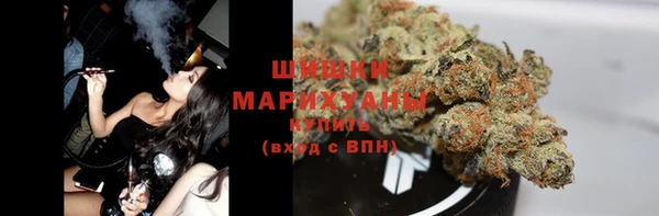 дживик Верея