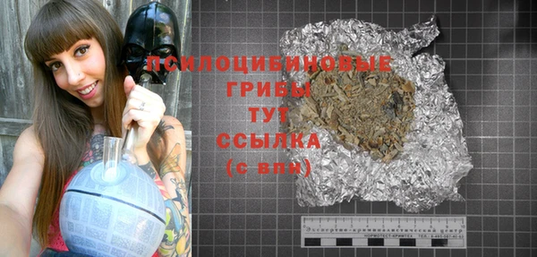 дживик Верея
