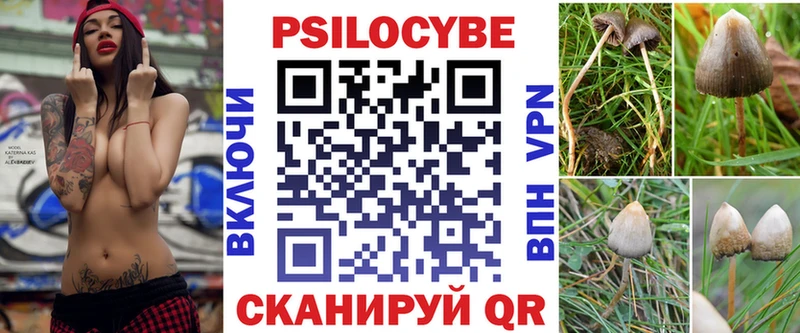 Псилоцибиновые грибы ЛСД  Карачаевск 