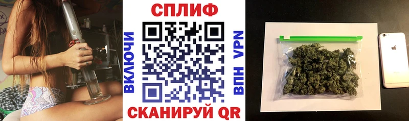 darknet телеграм  Карачаевск  Бошки марихуана индика  мега сайт 